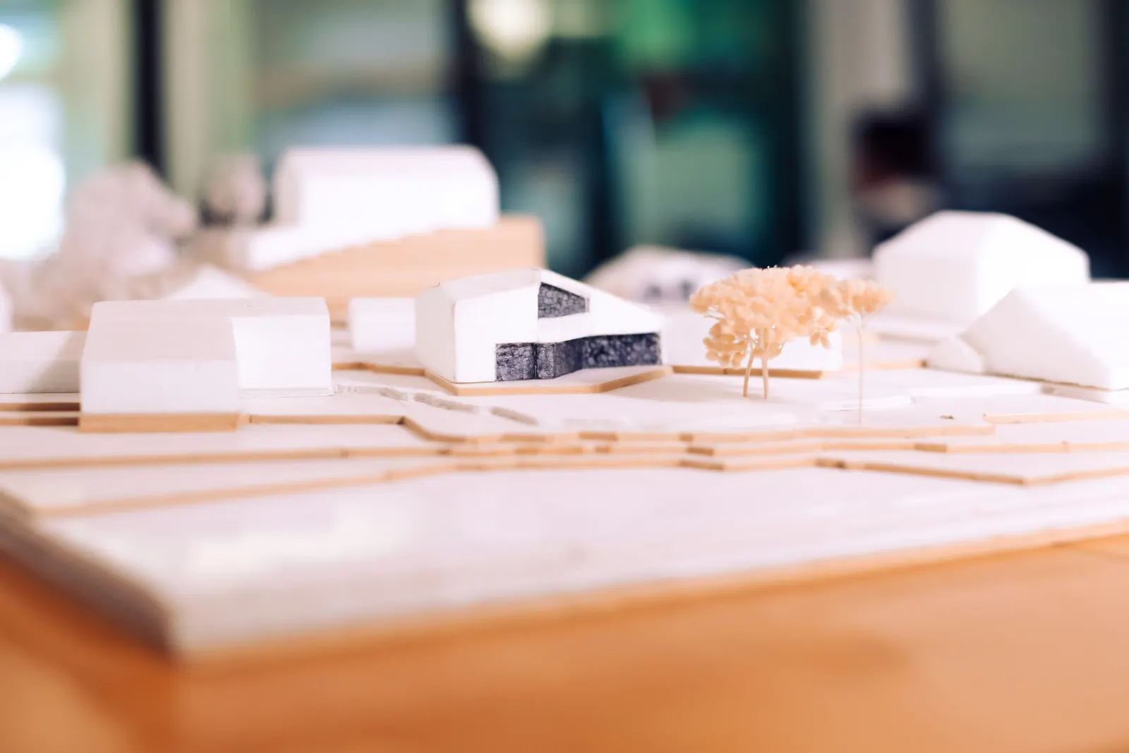 Architekturmodell aus weißen Baukörpern auf Holzplatten mit einem kleinen Modellbaum, Nahaufnahme