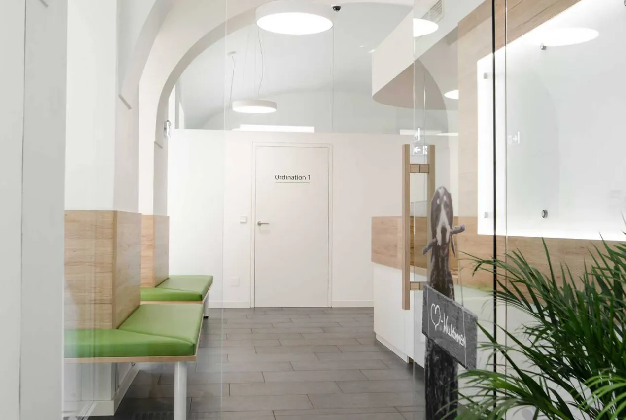 Tierarztpraxis Umbau Wien — Ansicht 2