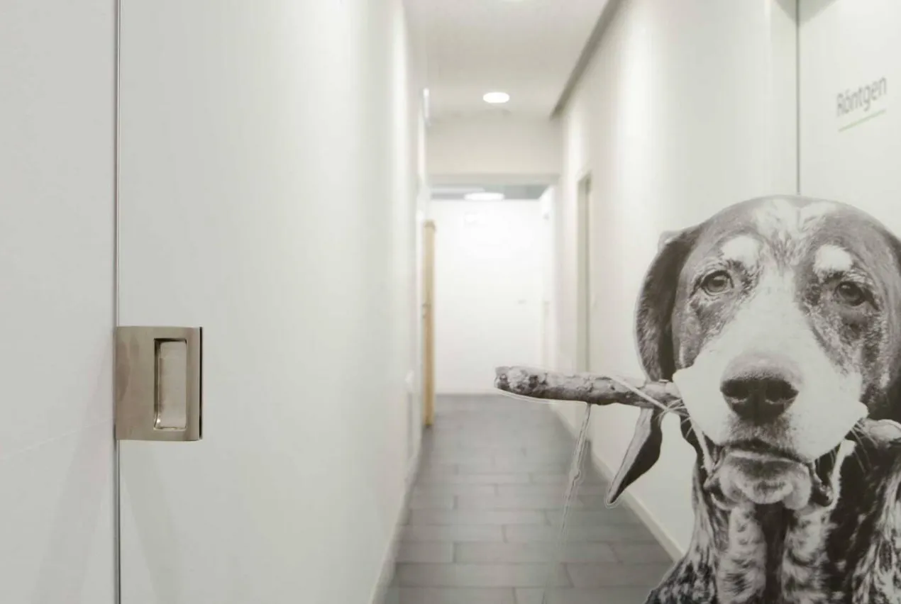 Tierarztpraxis Umbau Wien — Ansicht 3