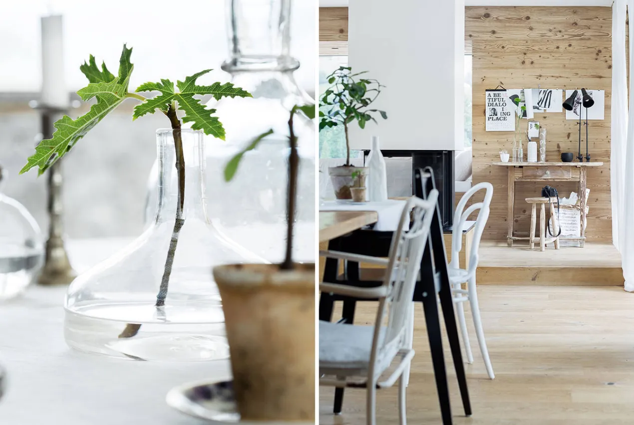 Penthouse Salzburg Aufbau — Ansicht 4